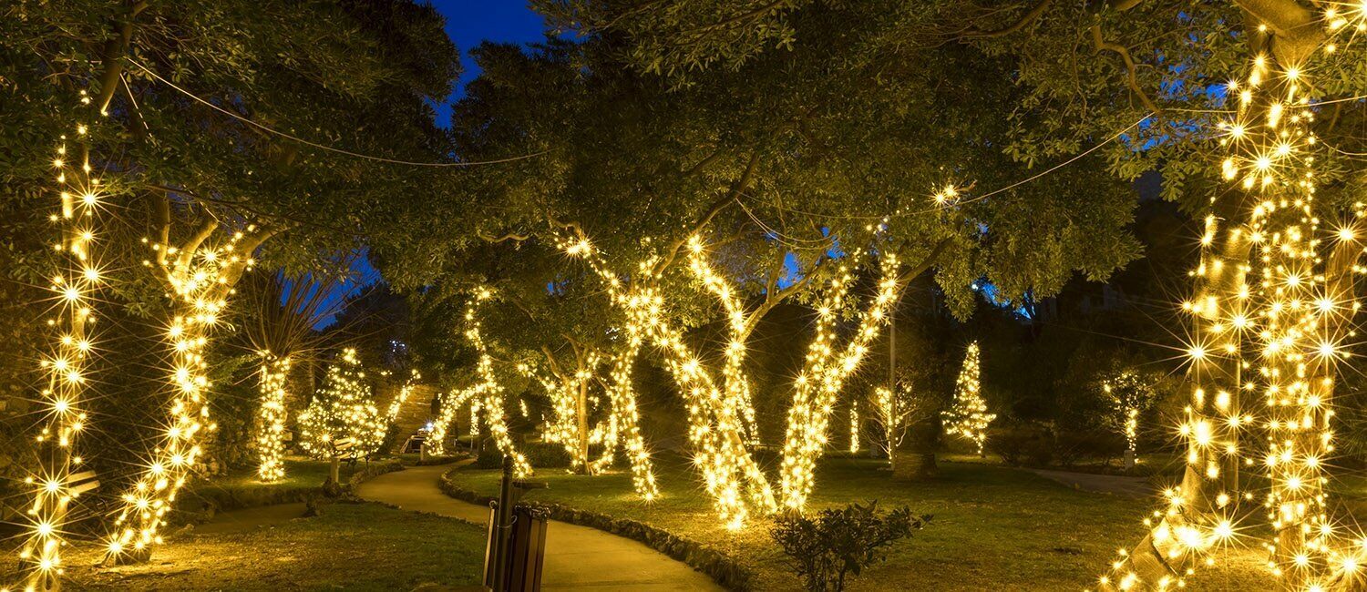 600 LED String/Fairy Compact lights - Warm White