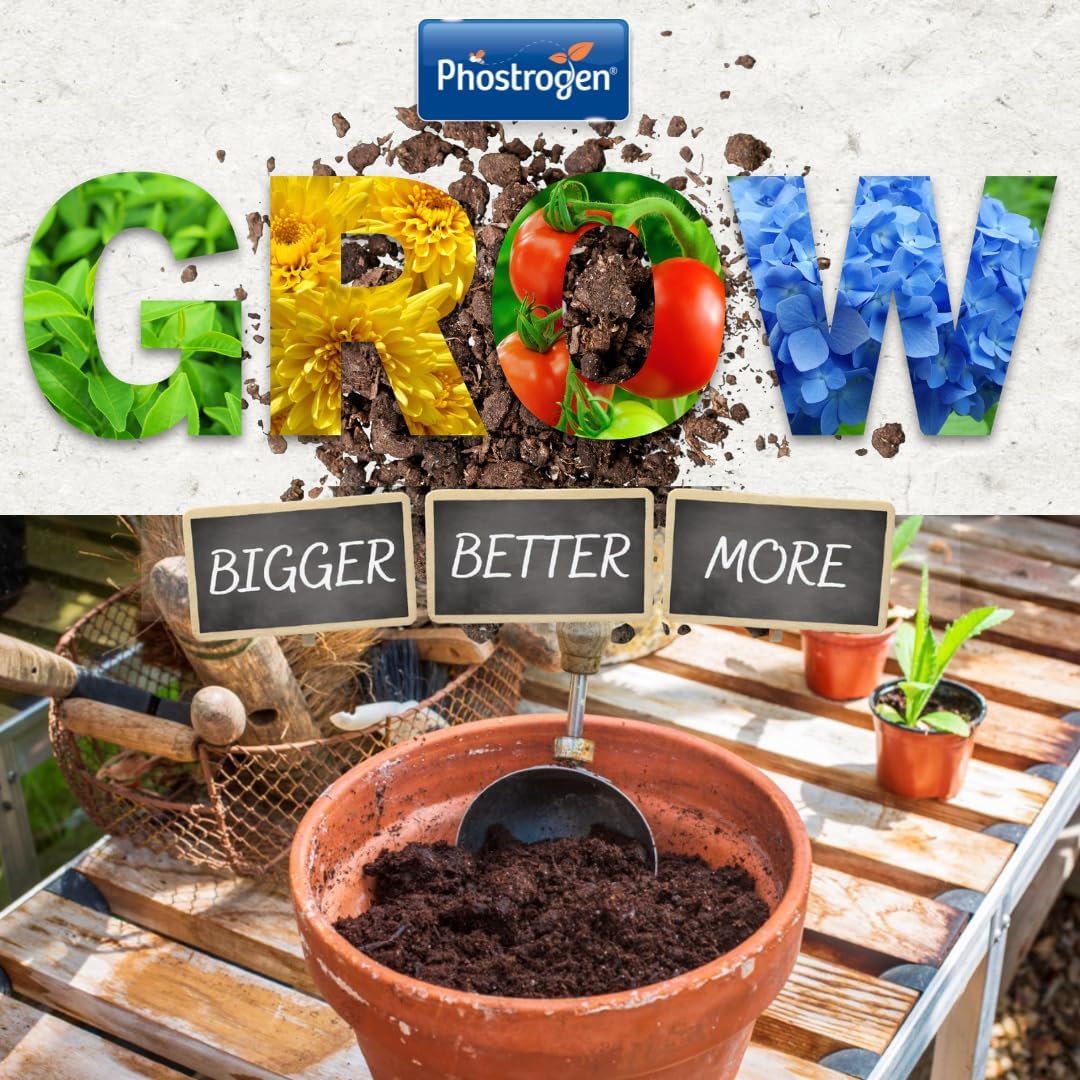 All Purpose Plant Food - 800g - Image 4