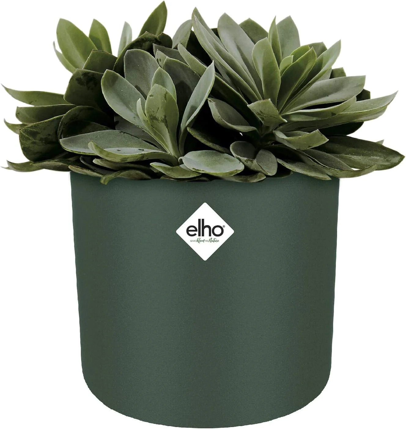 B.for Soft Round 16cm - Leaf Green - Image 3