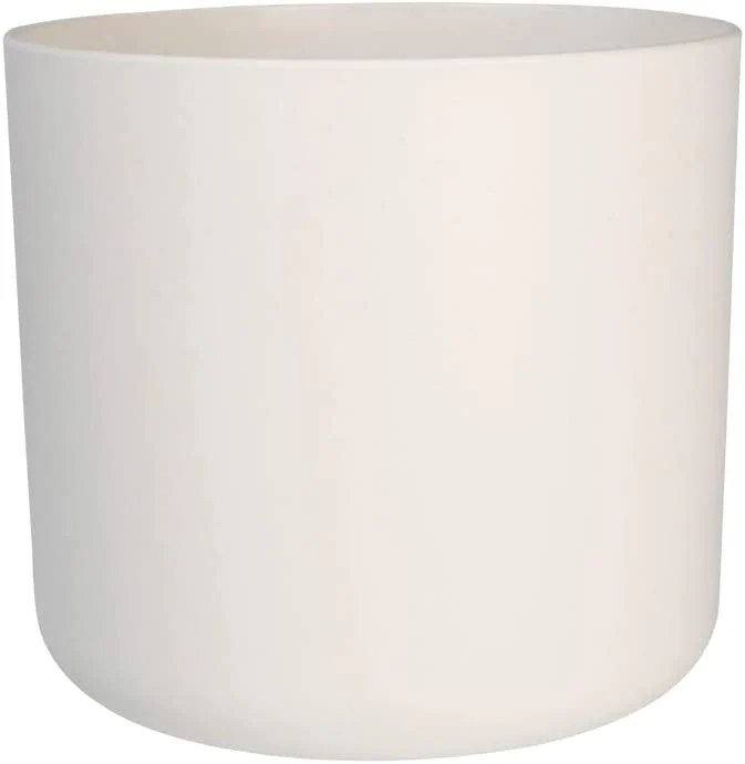 B.For Soft Round 16cm - White - Image 4