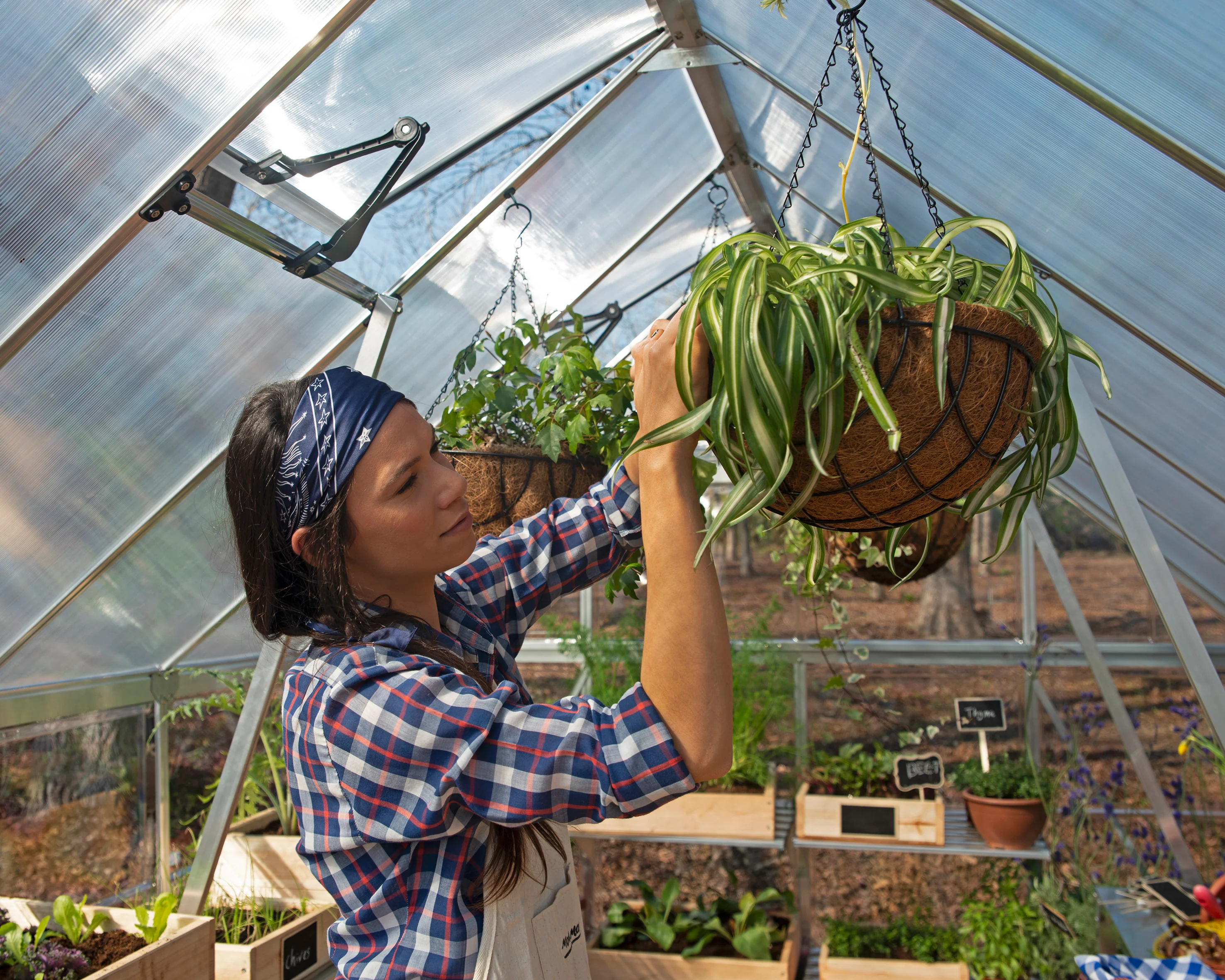 Balance 8' x 20' Greenhouse - Silver Aluminium Frame & Hybrid Polycarbonate Panels - Image 12