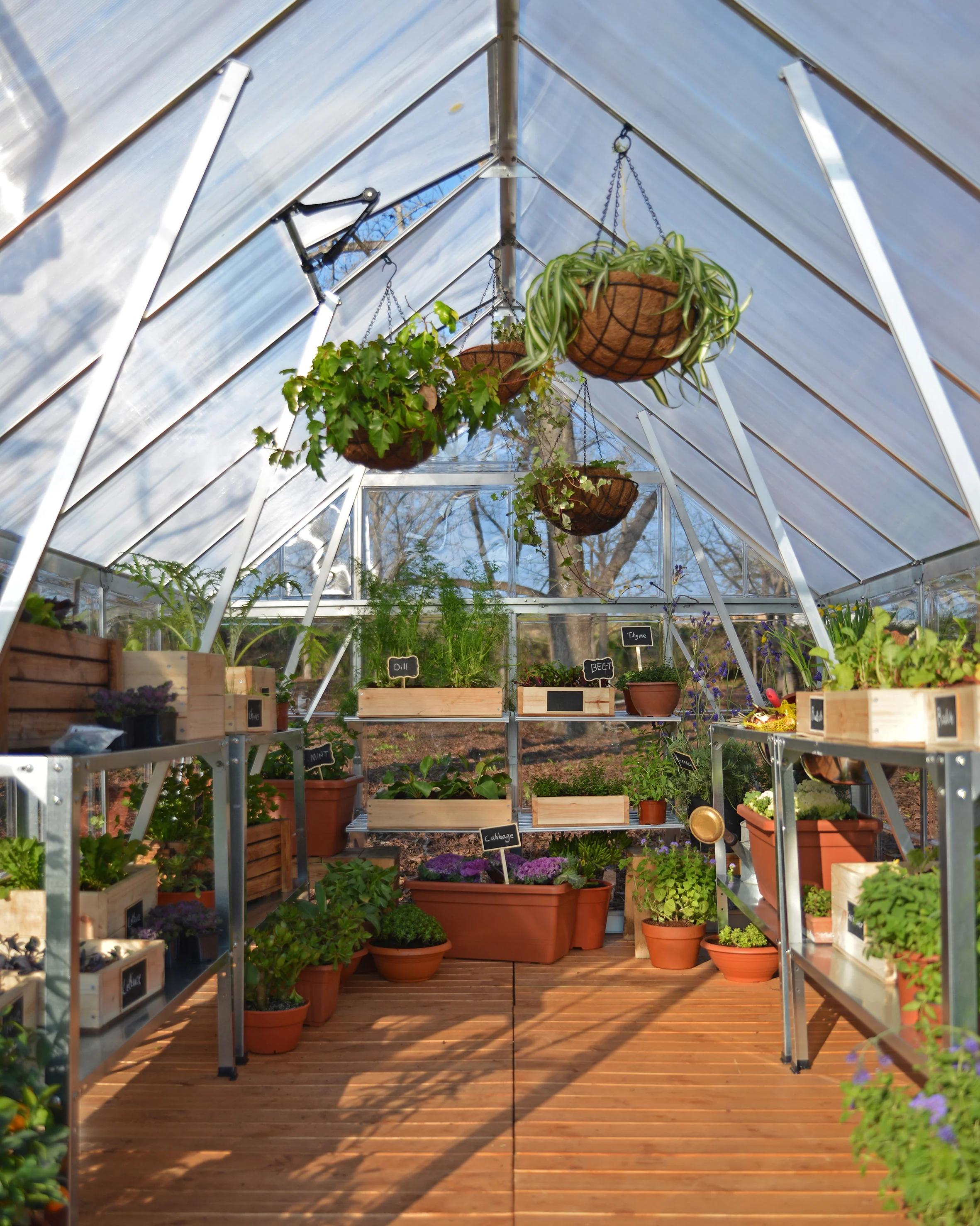 Balance 8' x 20' Greenhouse - Silver Aluminium Frame & Hybrid Polycarbonate Panels - Image 2