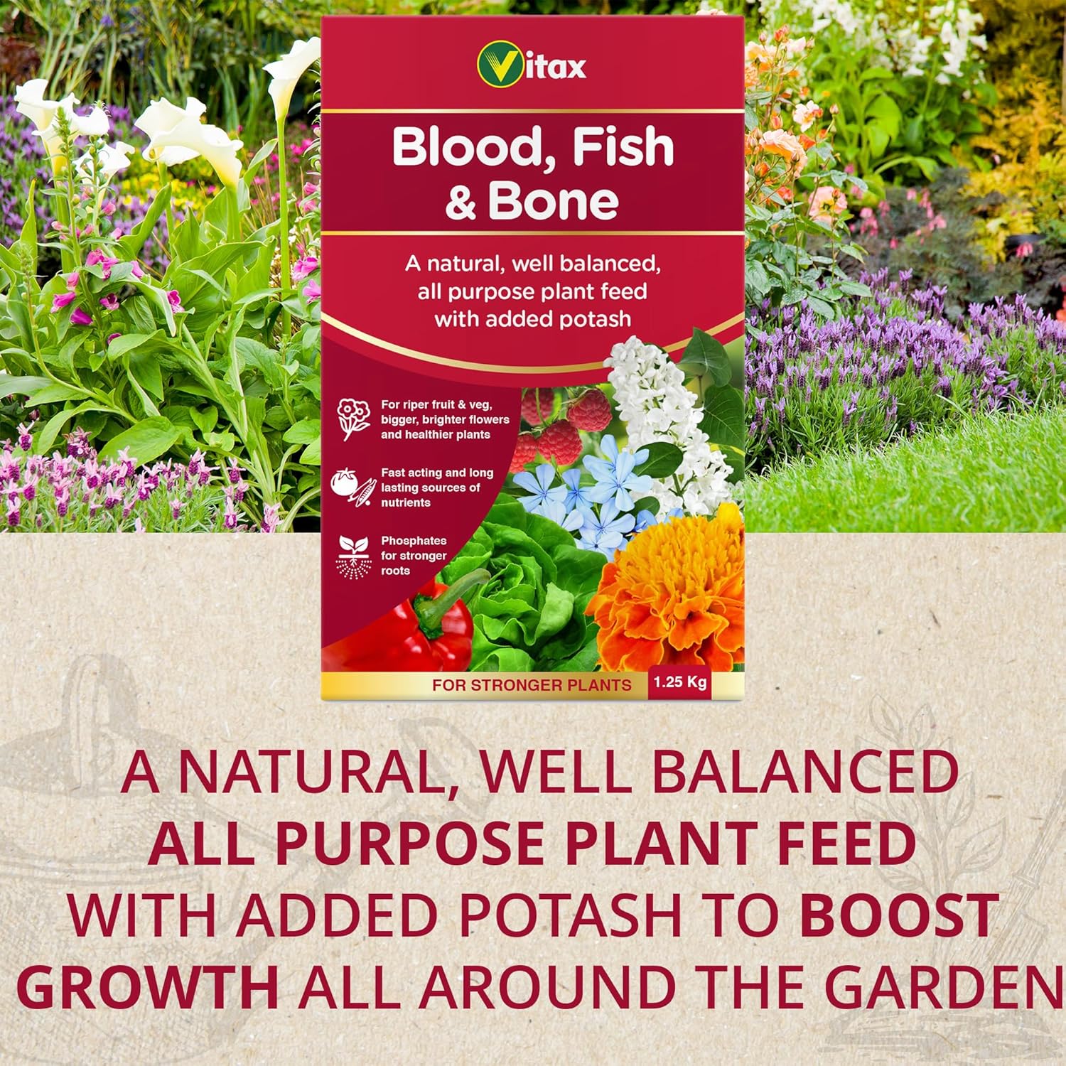 Blood Fish & Bone Fertiliser - 1.25kg - Image 3