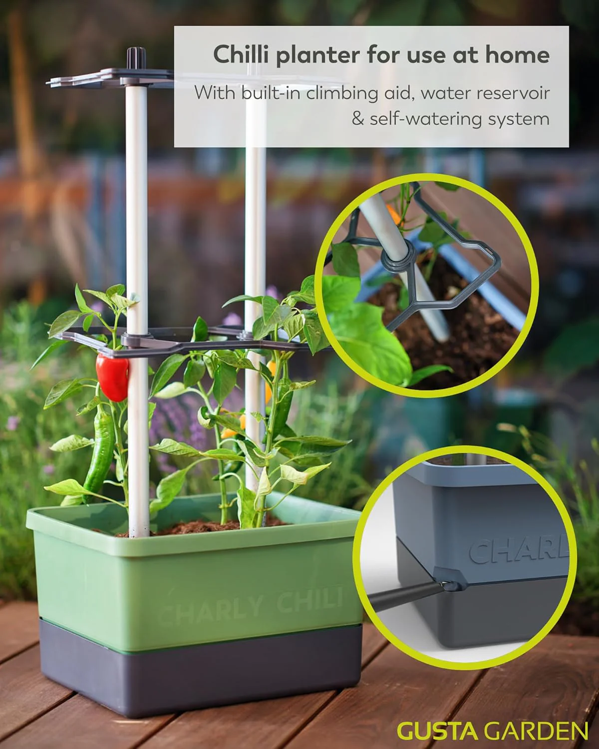Charly Chili Planter Dark Green - Climbing Aid, Self-Watering System & Robust Frame - Image 2