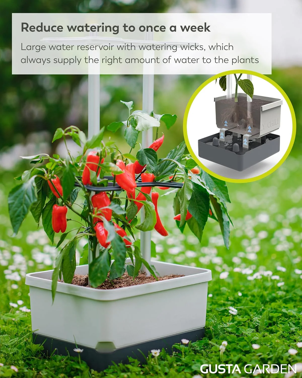 Charly Chili Planter Light Grey - Climbing Aid, Self-Watering System & Robust Frame - Image 4