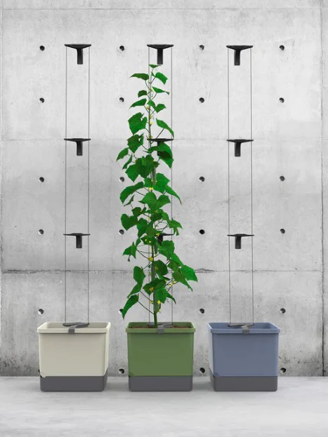 Curt Cucumber Planter Dark Green - Climbing Aid & Self-Watering System - Image 4
