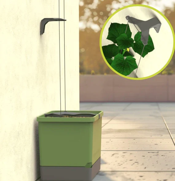 Curt Cucumber Planter Dark Green - Climbing Aid & Self-Watering System - Image 6