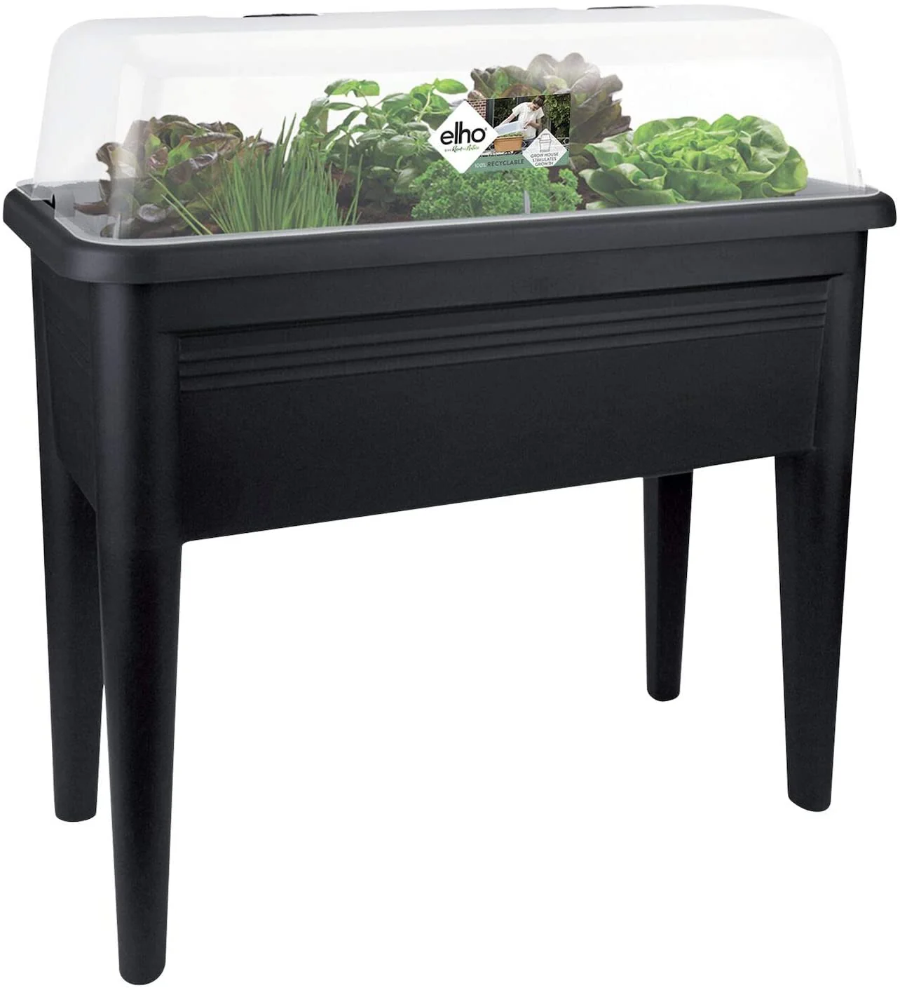 Green Basics Grow Table XXL Clear Lid - Image 5