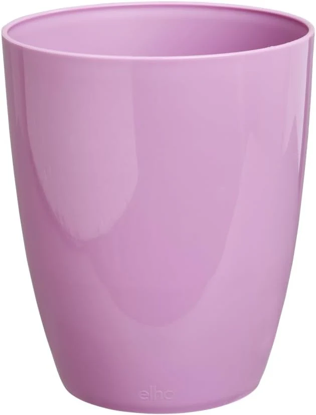 Brussels Diamond Orchid High 12.5cm - Vivid Violet - Image 3