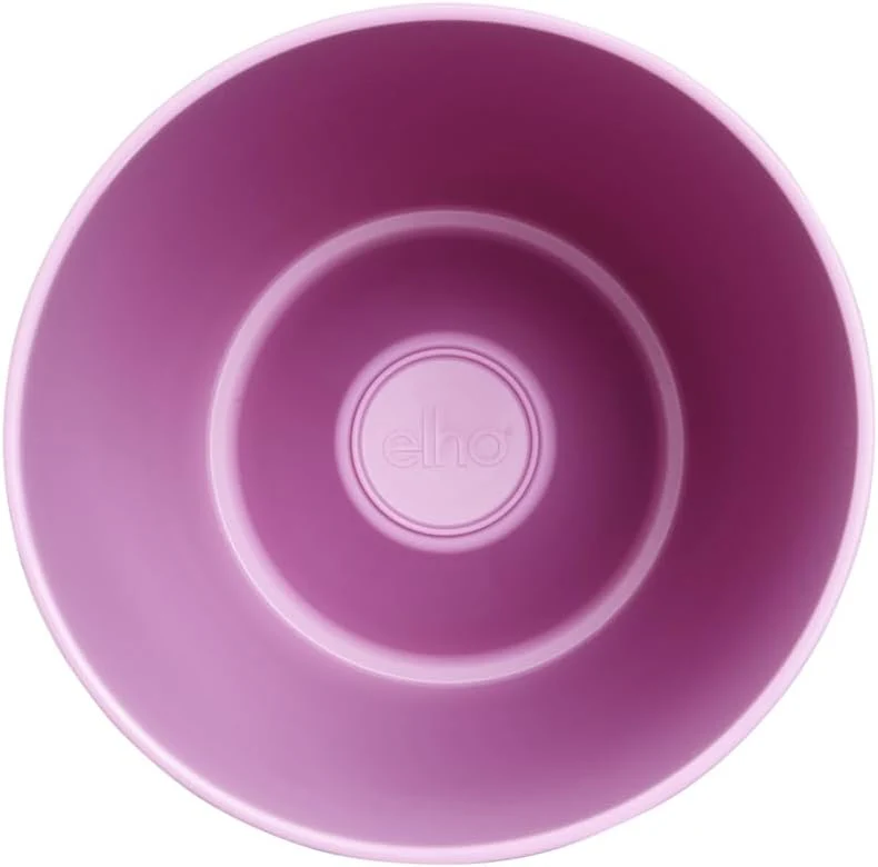 Brussels Diamond Orchid High 12.5cm - Vivid Violet - Image 6