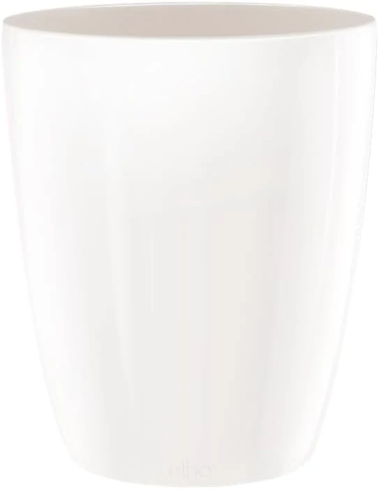 Brussels Diamond Orchid High 12.5cm - White - Image 6