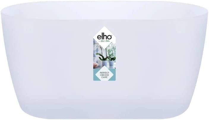 Brussels Orchid Duo 25cm - Transparent