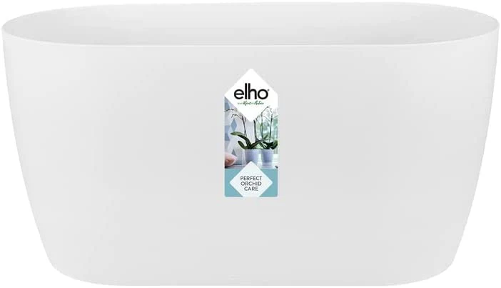 Brussels Orchid Duo 25cm - White