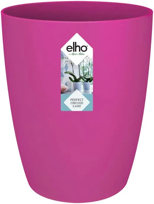 Brussels Orchid High 12.5cm - Cherry Red
