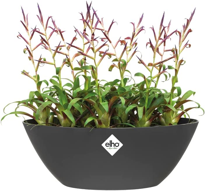 Brussels Oval 36cm - Anthracite - Image 7
