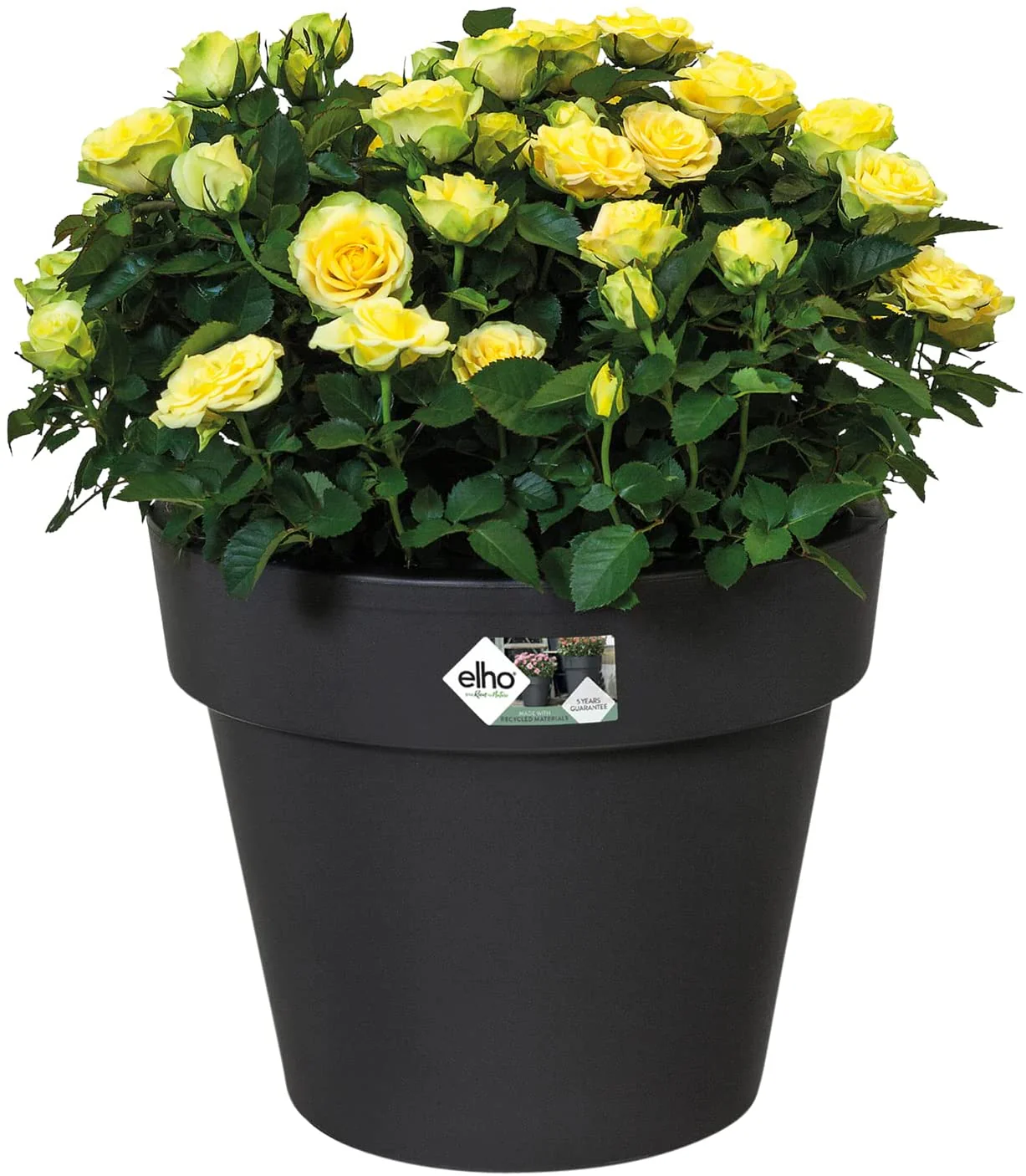 Elho Flower Pot Basics top Planter in Black - 30cm - Image 3