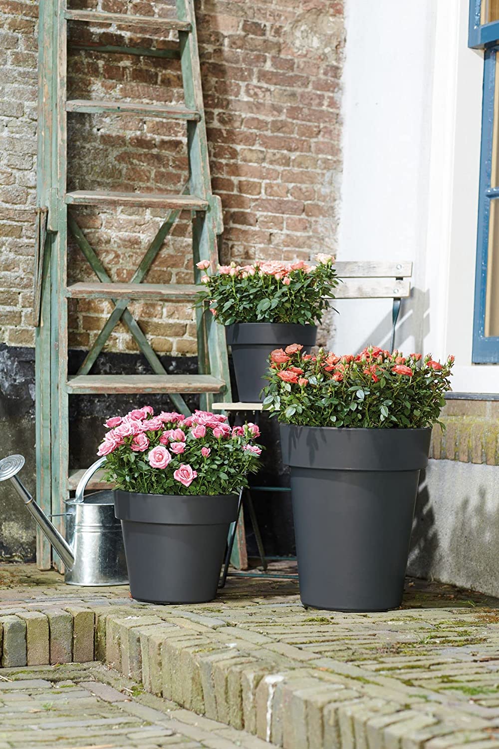 Elho Flower Pot Basics top Planter in Black - 30cm - Image 6