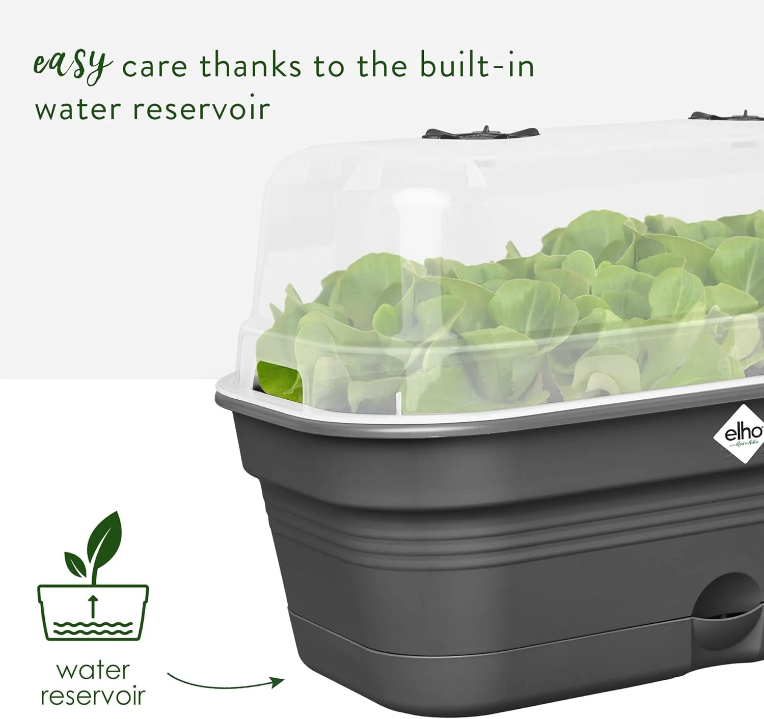 Green Basics All in 1 Medium Grow Tray Living Black - Image 5