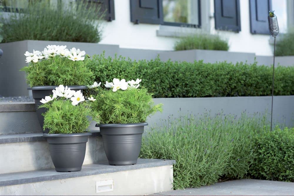 Green Basics Campana 40cm - Living Black - Image 2