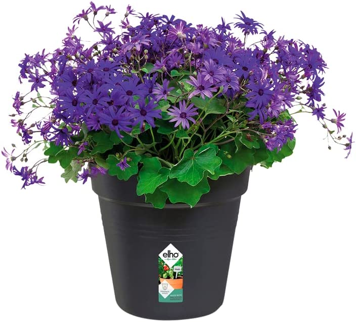 Green Basics Grow Pot 27cm - Living Black - Image 3