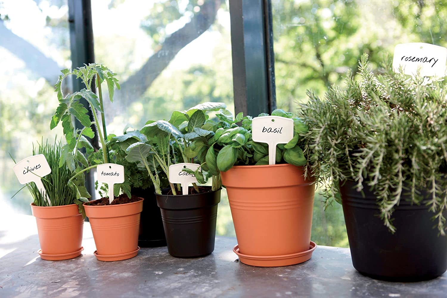 Green Basics Grow Pot 30cm - Living Black - Image 2
