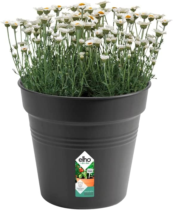 Green Basics Grow Pot 30cm - Living Black - Image 5