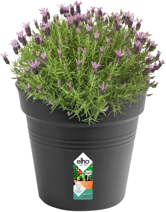 Green Basics Grow Pot 35cm - Living Black - Image 2
