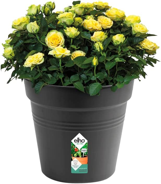 Green Basics Grow Pot 40cm - Living Black - Image 3