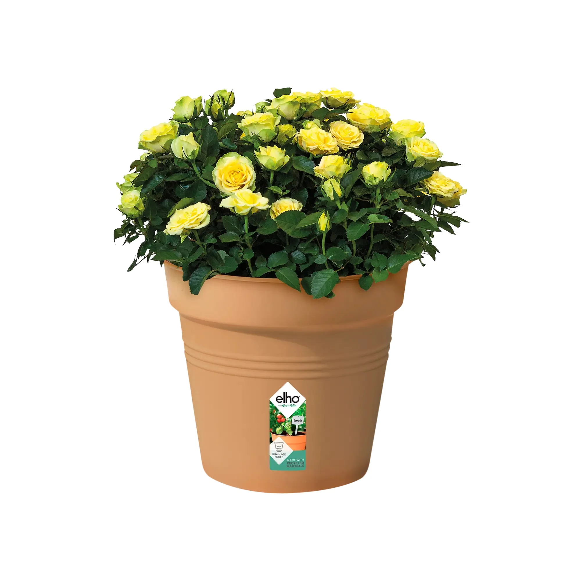 Green Basics Growpot 40cm - Mild Terracotta - Image 5