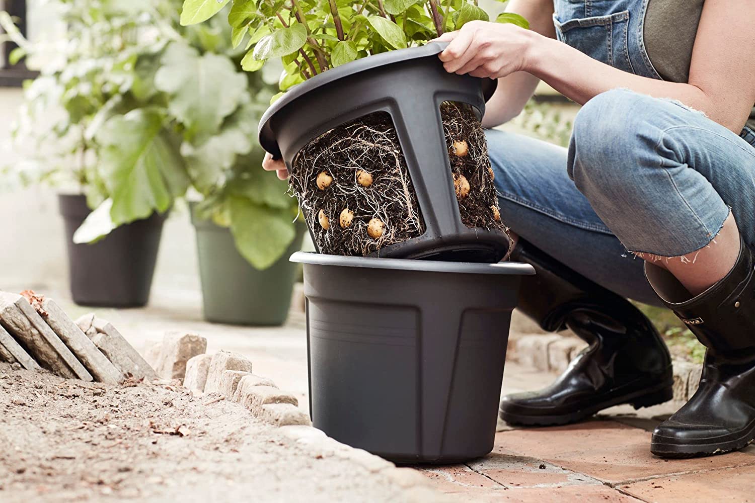 Green Basics Potato Pot 33cm - Living Black - Image 6