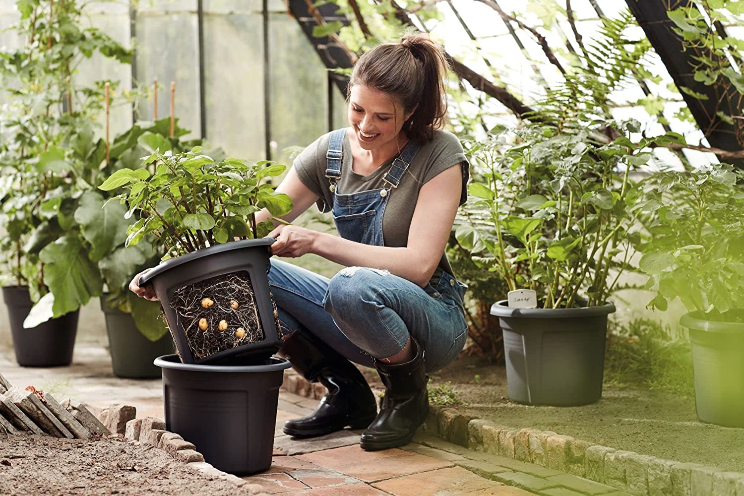 Green Basics Potato Pot 33cm - Living Black - Image 9
