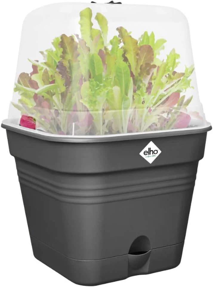 Green Basics Square All in 1 Growpot 25cm - Living Black - Image 4