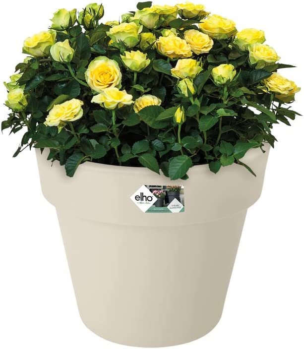 Green Basics Top Planter 23cm - Cotton White - Image 4