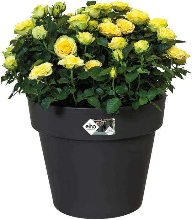 Green Basics Top Planter 23cm - Living Black - Image 4