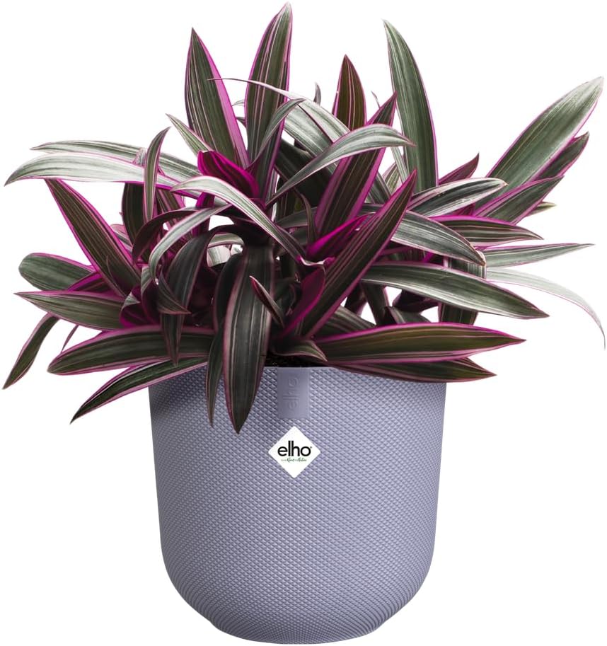 Jazz Round 16cm - Lavender Lilac - Image 6