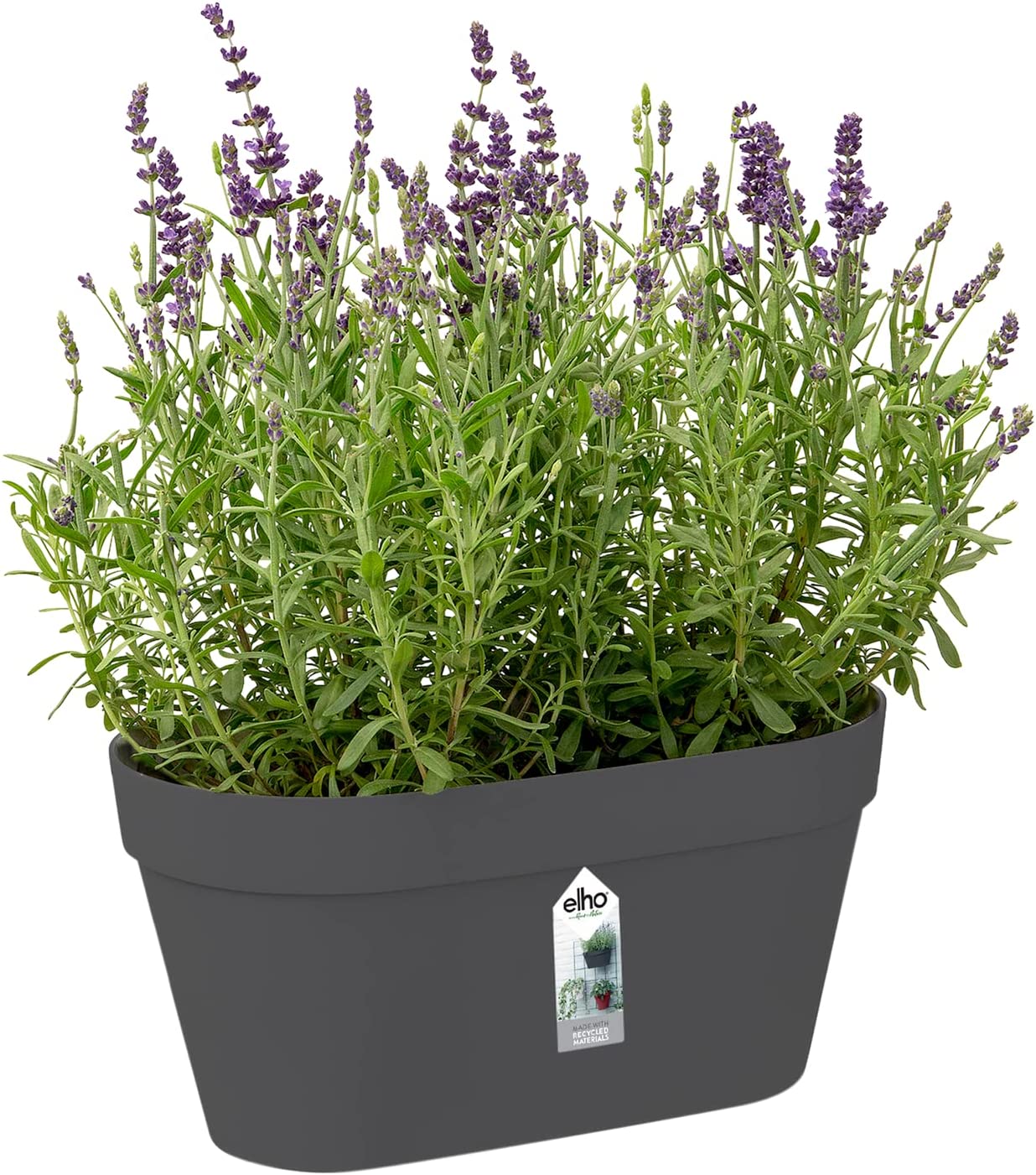 Loft Urban Green Wall Pot Duo 28cm - Anthracite - Image 6