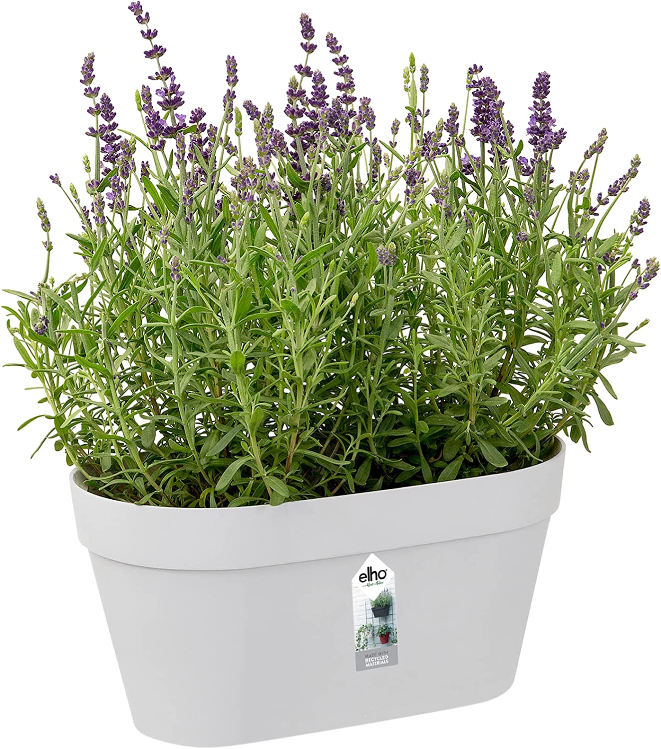 Loft Urban Green Wall Pot Duo 28cm - White - Image 4
