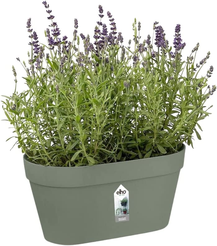 Loft Urban Green Wall Pot Duo 28cm - Pistachio Green - Image 4