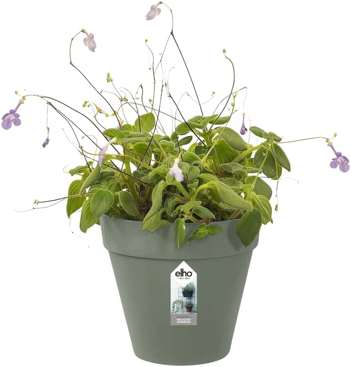 Loft Urban Green Wall Pot Single 15cm - Pistachio Green - Image 4