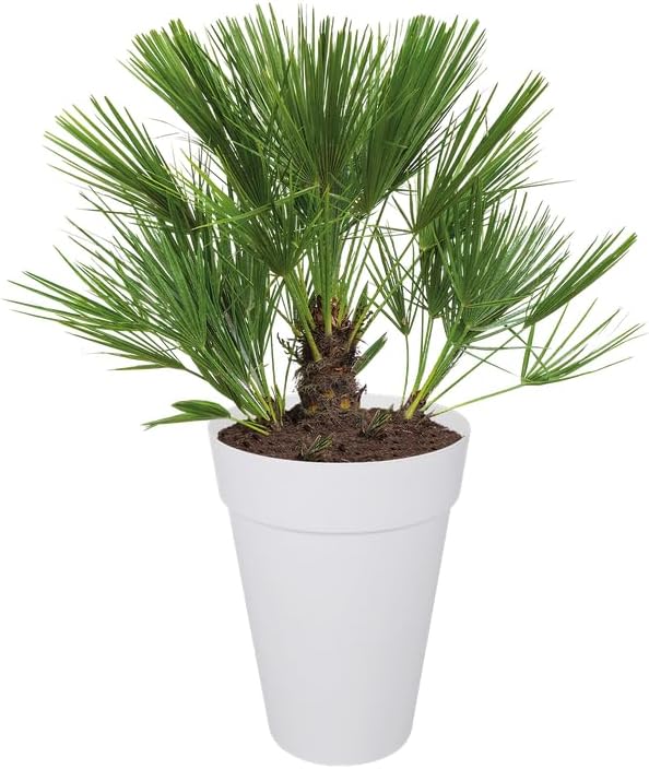 Loft Urban Round High 42cm - White - Image 9