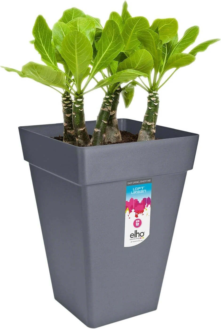 Loft Urban Square High 30cm - Anthracite - Image 3