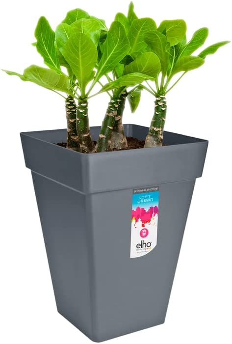 Loft Urban Square High 37cm - Anthracite - Image 4