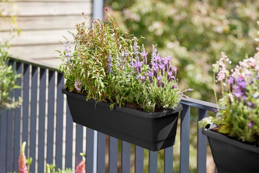 Noa Balcony Trough Medium Living Black - Image 5