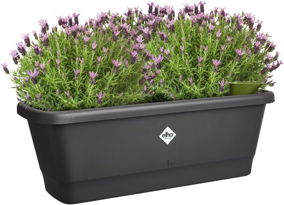 Noa Balcony Trough Medium Living Black - Image 6