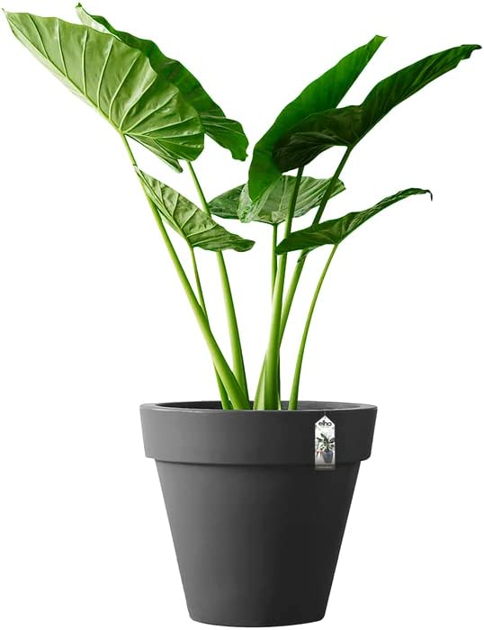 Pure Round 100cm - Anthracite - Image 2