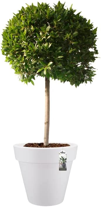 Pure Round 100cm - White - Image 7