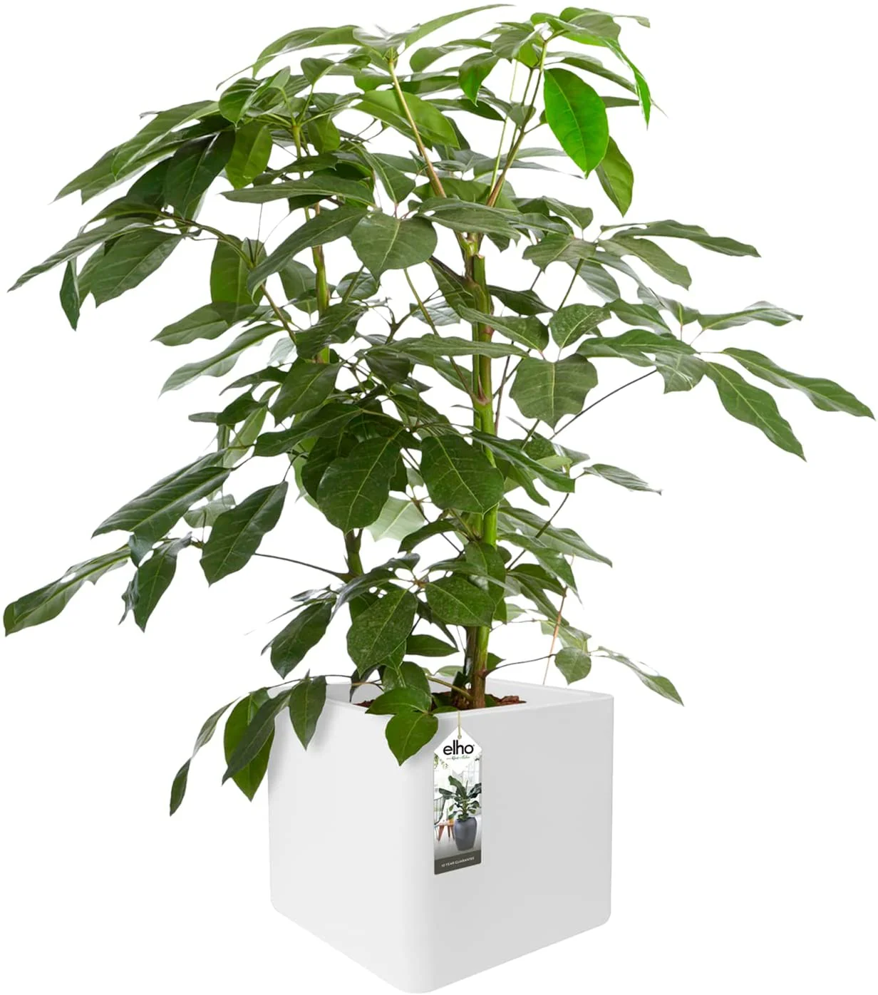 Pure Soft Brick Planter 40cm - White - Image 4