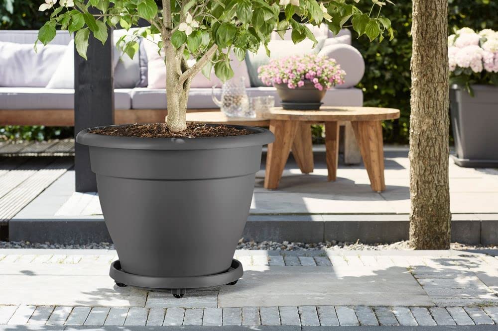 Universal Planttaxi 30cm Anthracite - Image 2