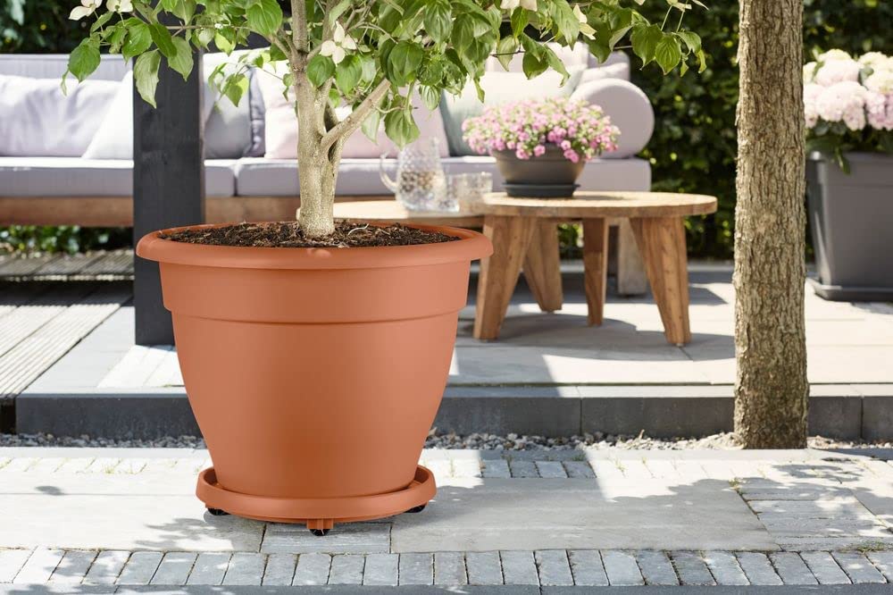 Universal Planttaxi 35cm Terra - Image 2