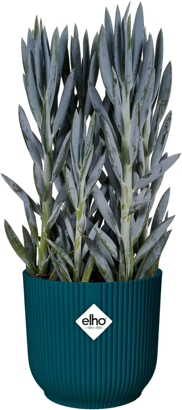 Vibes Fold Round Wheels 35cm Deep Blue - Image 6